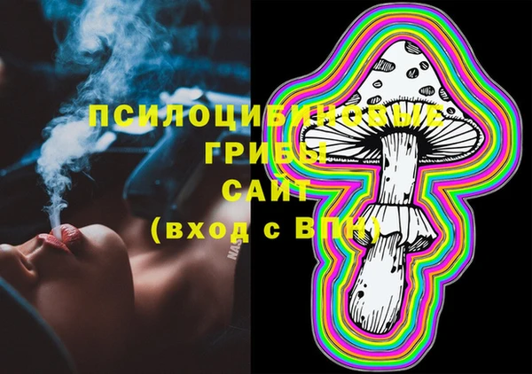 соль ск Гусь-Хрустальный