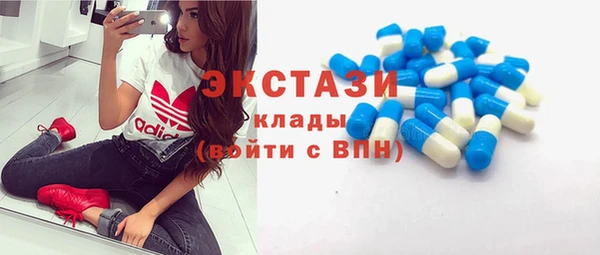 таблы Гусев
