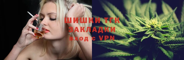 таблы Гусев