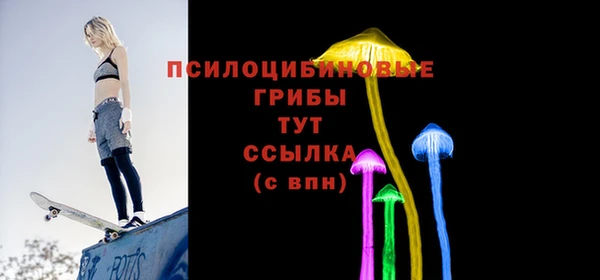 соль курить ск Гусиноозёрск