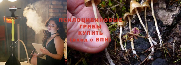 таблы Гусев