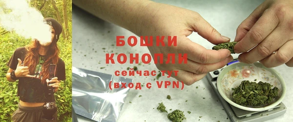таблы Гусев