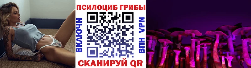 Псилоцибиновые грибы мухоморы Енисейск